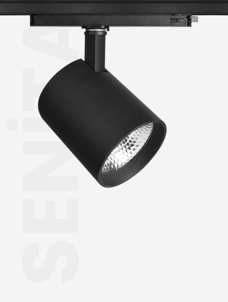 SENİTA SERİSİ | MR 1030-100 RAY SPOT