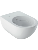 Geberit Acanto taharet fonksiyonlu alçak tip asma klozet, kapalı form, Rimfree