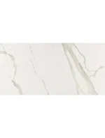 ALBATROS REKTIFIYE PARLAK NANO - Görsel 4