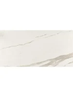 ALBATROS REKTIFIYE PARLAK NANO - Görsel 2