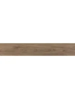 ALBERO REKTİFİYE