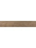ALBERO REKTİFİYE - Görsel 2