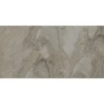 ATLANTİS VİZON REKTİFİYE PARLAK NANO