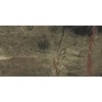 RAIN FOREST DF REKTİFİYE LAPPATO