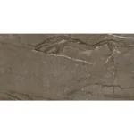 SIERRA VİZON REKTİFİYE