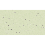 Eclipse PASTEL OLIVE 0077 Eclipse Premium Homojen PVC Zemin Kaplamaları