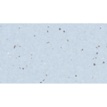 Eclipse PASTEL SKY BLUE 0079 Eclipse Premium Homojen PVC Zemin Kaplamaları