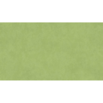 Stamp GREEN Tapiflex Essential 50 Heterojen PVC Zemin Kaplamaları