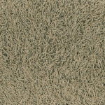 Chinchilla Classic B292 175 Bonaparte Chinchilla Rulo Halı