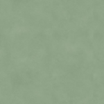 Fibra GREEN iD Inspiration 55 Lüks Vinil Karoları