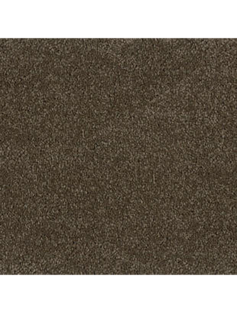 TH_ParadePalesse_B129_145_710258011_710259011_001.png Palesse B129 145 Parade Palesse Rulo Halı - Görsel 1