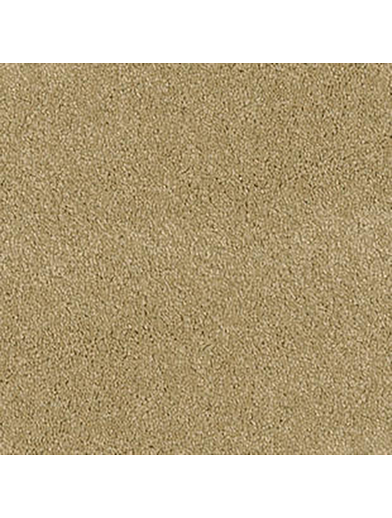 TH_ParadePalesse_B129_173_710258010_710259010_001.png Palesse B129 173 Parade Palesse Rulo Halı - Görsel 1