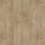 Infinity Oak NATURAL ICONIK 260D Vinil Rulolar