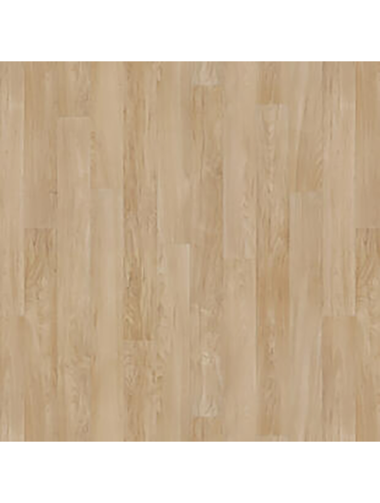 Maple BEIGE ICONIK 240 Vinil Rulolar