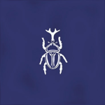 Ager-4 Blue 13x13 G.27 white body