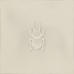 Ager-4 Pearl 13x13 G.27 white body