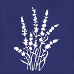 Arvum-4 Blue 13x13 G.27 white body