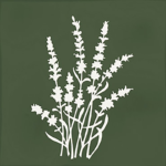 Arvum-4 Green 13x13 G.27 white body