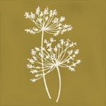 Arvum-4 Ocher 13x13 G.27 white body