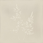Arvum-4 Pearl 13x13 G.27 white body