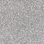 Portofino-SPR Cemento 59,3x59,3 G.173 porcelain