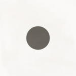 Wha-R 15x15 G.161 R10 porcelain