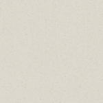 Micra-R Blanco Pulido 119,3x119,3 G.206 porcelain