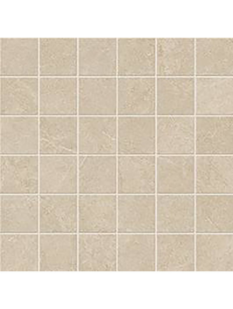 Arkigeo / Tessere Arena Mozaik - Görsel 1