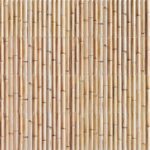 Bamboo cream - Seri Bamboo - Mainzu seramik