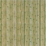 Bamboo green - Seri Bamboo - Mainzu seramik