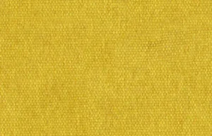 New Sabine Yellow